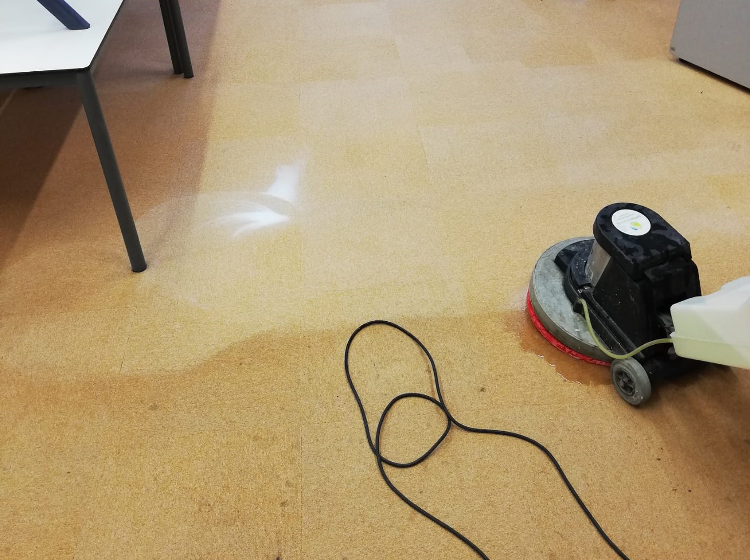 School Carpet Clean