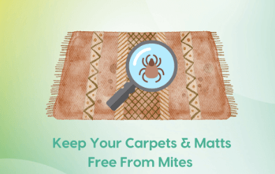 Keep your Carpets & Matts Free From Mites