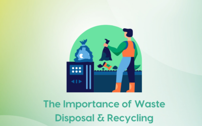 The Importance of Waste Disposal & Recycling