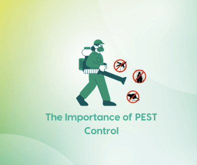 The-Benefits-of-Pest-Control-Services